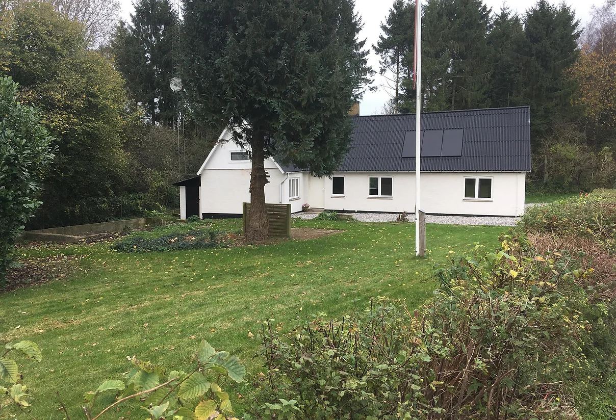 Tornmarksvej 141, 5491 Blommenslyst