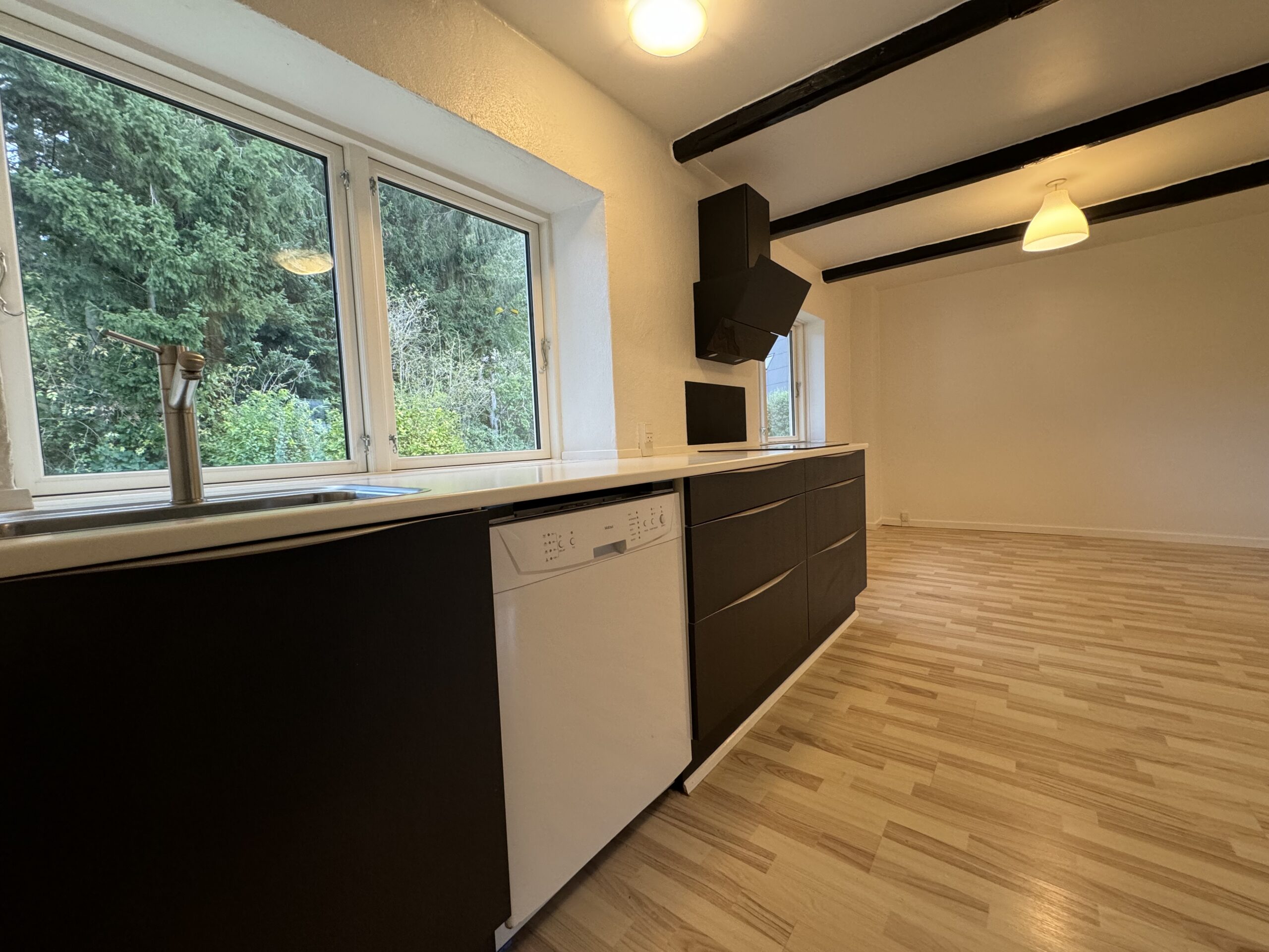 Tornmarksvej 141, 5491 Blommenslyst - Image 14
